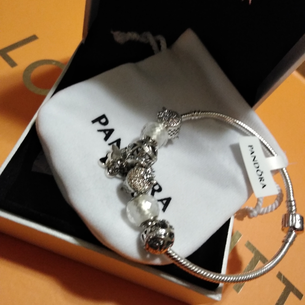 Pandora Charm Bracelet